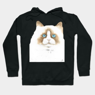 white and brown cat watercolor portrait Hoodie